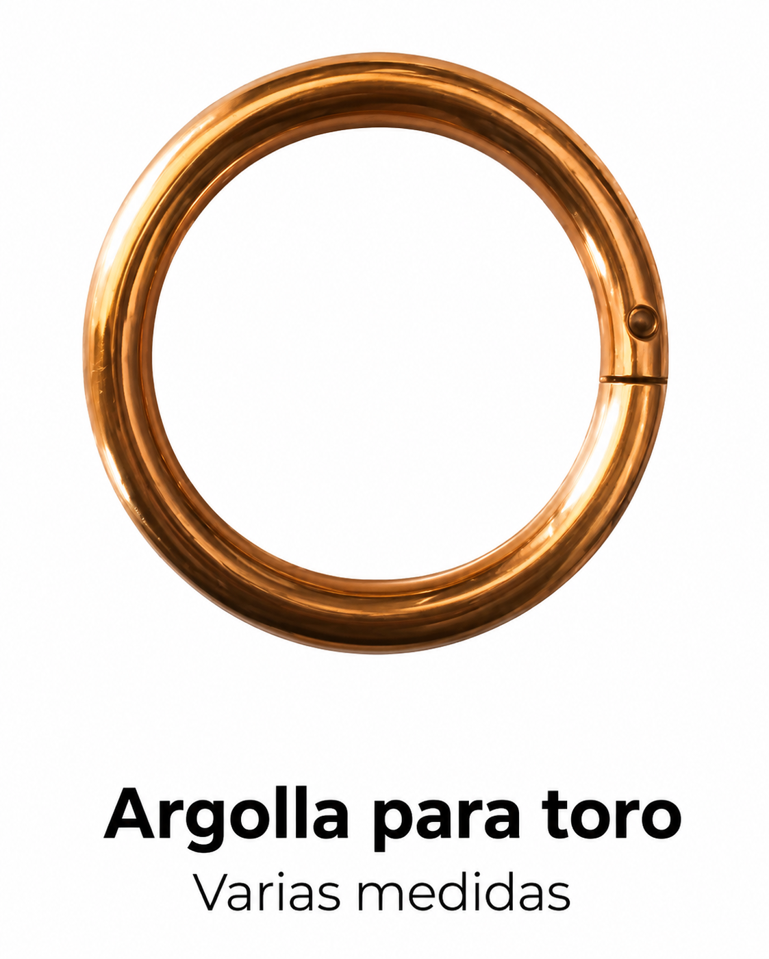 Argolla Para Toro